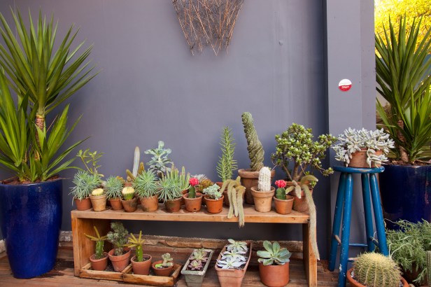 Antonio Ferreira Jr e Mario Celso Bernades- Casa Cor 2014 - Foto Fátima Amaral - _0018