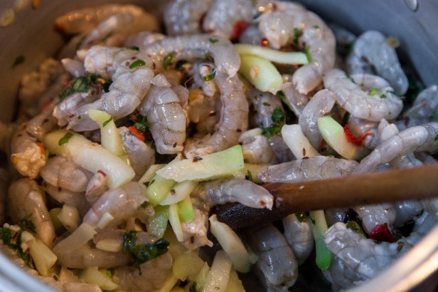 Camarão ensopadinho com chuchu - Foto Paulo Falcão - 0018