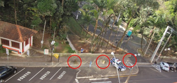 Bosque de Londrina corte de árvores em junho de 2016-06-27 10.38.44