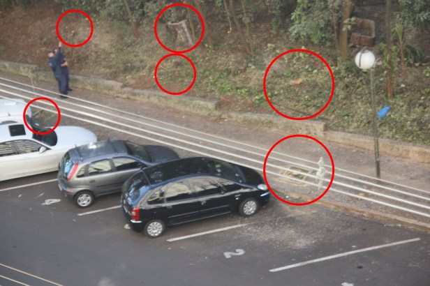 Bosque de Londrina corte de árvores em junho de 2016-06-27 10.38.50