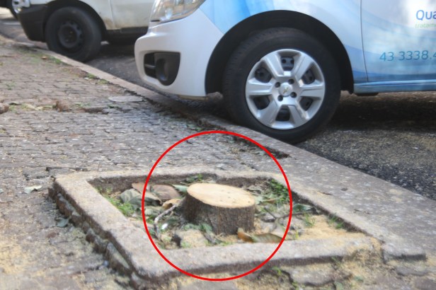 Bosque de Londrina corte de árvores em junho de 2016-06-27 11.25.19